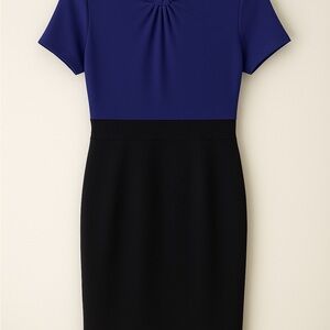 Elegant Blue and Black Women's Dress